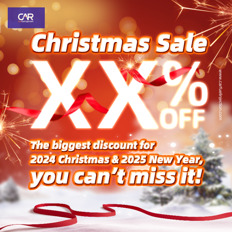 Celebrate 2024 Christmas with a Special Offer on the 0445110254 Fuel Injection